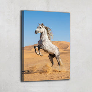 TABLEAU CHEVAL PHOTO