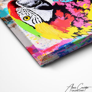 TABLEAU PERROQUET GRAFFITI AlessioCacciatore