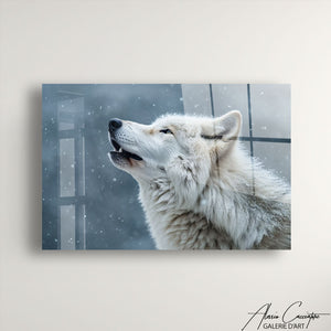 Tableau Plexiglass Loup