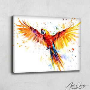 TABLEAU PERROQUET EN VOL