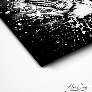 TABLEAU OISEAU NOIR ET BLANC Alessio Cacciatore