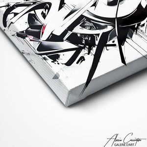 TABLEAU GRAFFITI NOIR ET BLANC Alessio Cacciatore