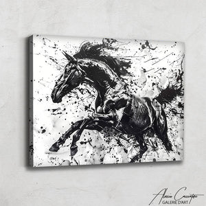 peinture cheval noir et blanc