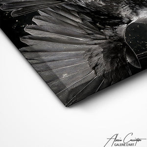 TABLEAU BUREAU CORBEAU Alessio Cacciatore