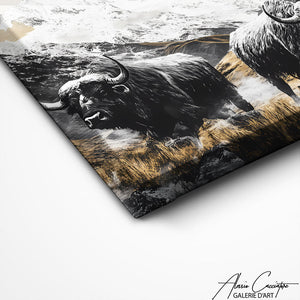 TABLEAU ANIMAUX DE MONTAGNE Alessio Cacciatore