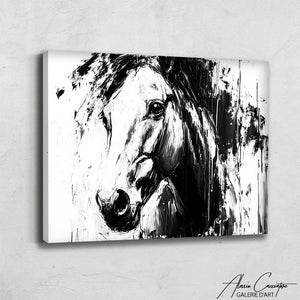 Toile Cheval Noir et Blanc