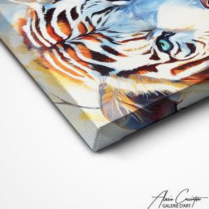 TABLEAU TIGRE BLANC YEUX BLEUS Alessio Cacciatore