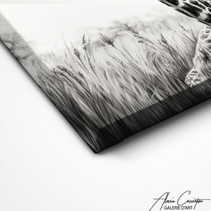 TABLEAU DESSIN GIRAFE Alessio Cacciatore