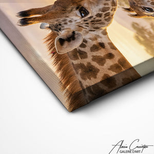 TABLEAU GIRAFE IMAGE Alessio Cacciatore