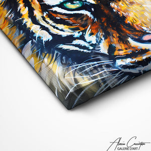TABLEAU TIGRE MAJESTUEUX Alessio Cacciatore