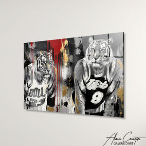 Cadre Basketball Noir Et Blanc