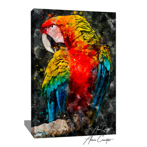 peinture perroquet huile