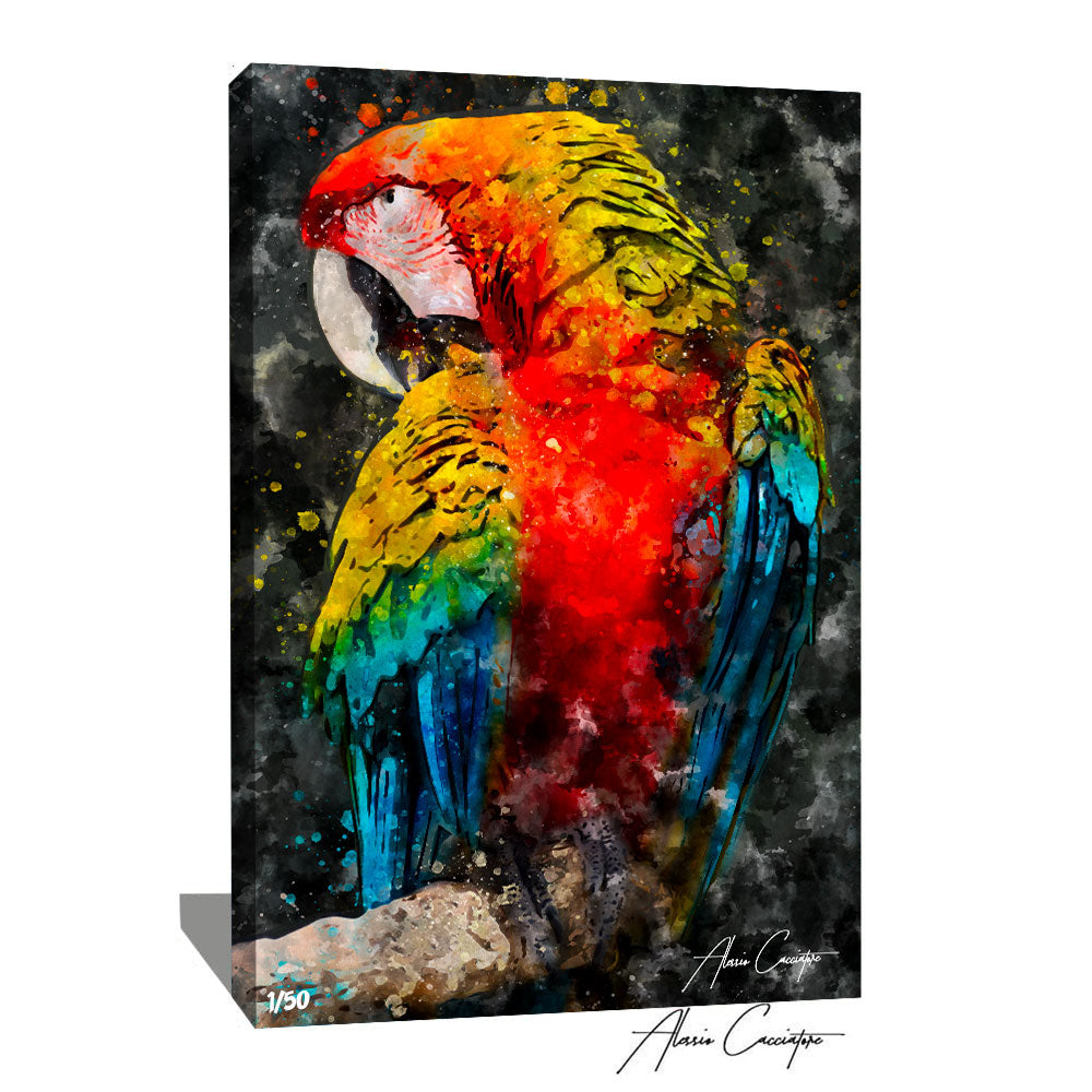 peinture perroquet huile