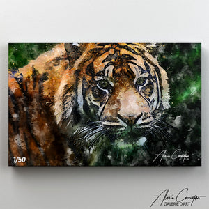 poster tigre du bengale