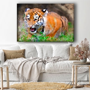 tableau tigre bébé