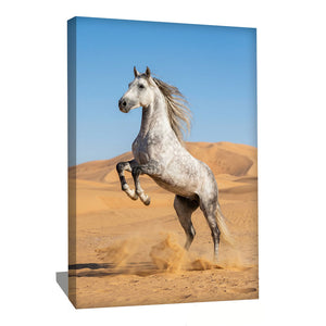 TABLEAU CHEVAL PHOTO