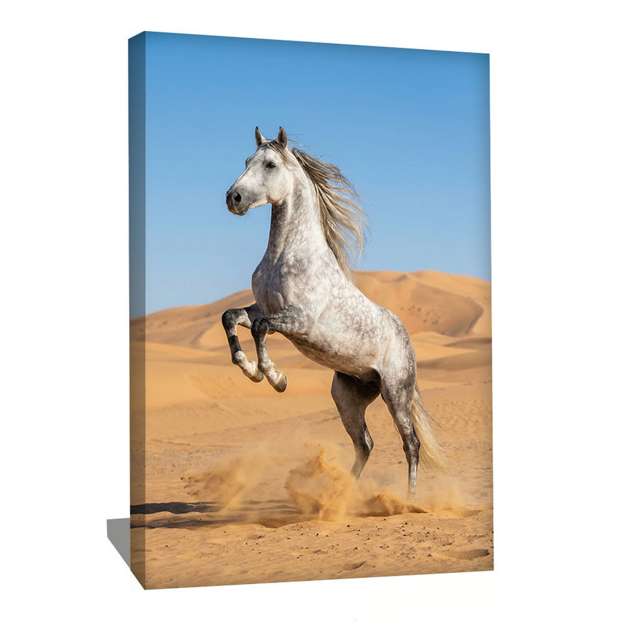 TABLEAU CHEVAL PHOTO