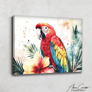 Peinture Aquarelle Perroquet