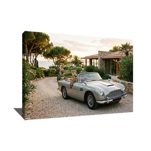 TABLEAU PHOTOGRAPHIE LUXE