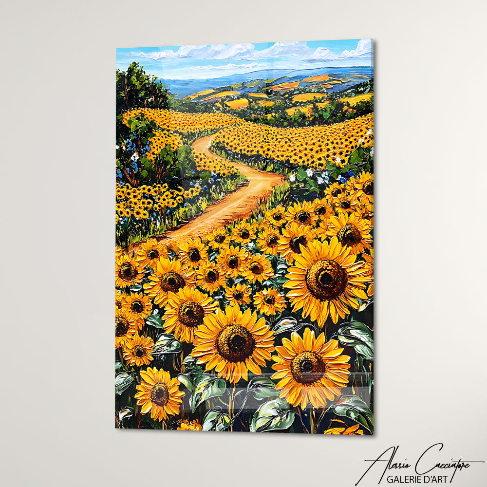Cadre Champ De Tournesol