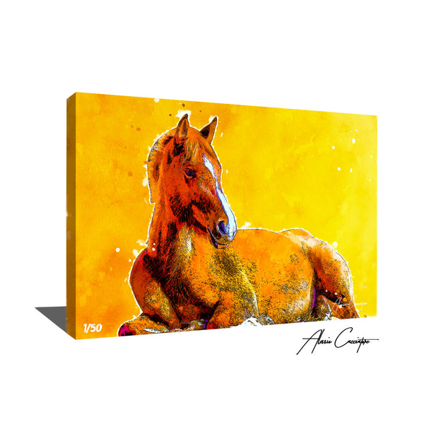 tableau cheval orange