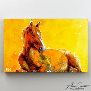 poster cheval orange