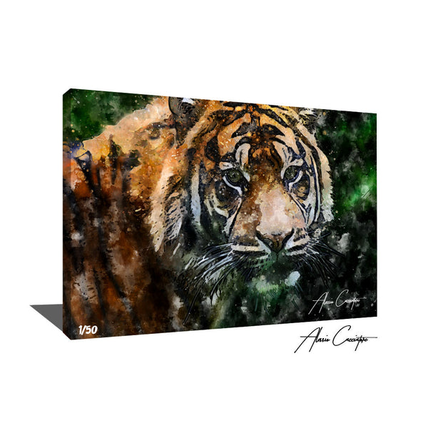 tableau tigre du bengale