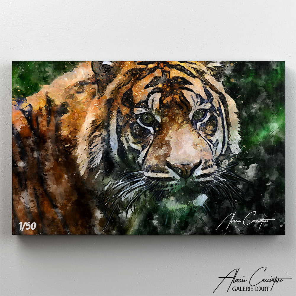 poster tigre du bengale
