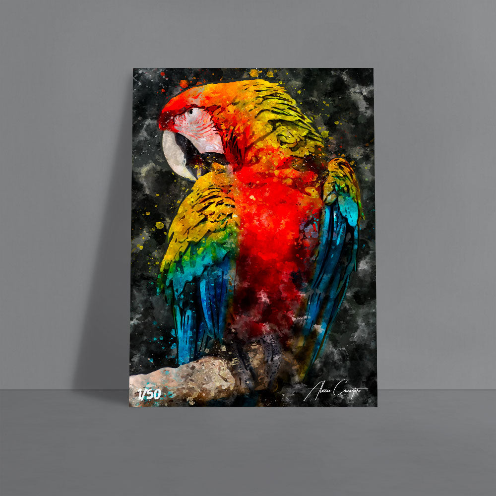 poster perroquet huile