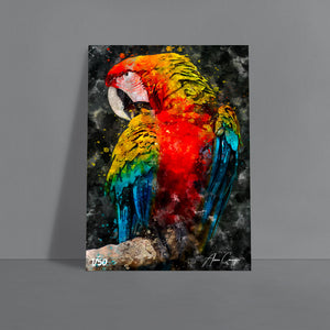 poster perroquet huile