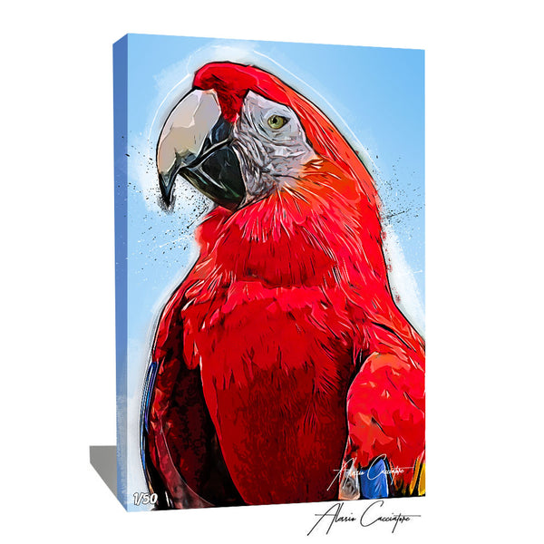 tableau perroquet rouge