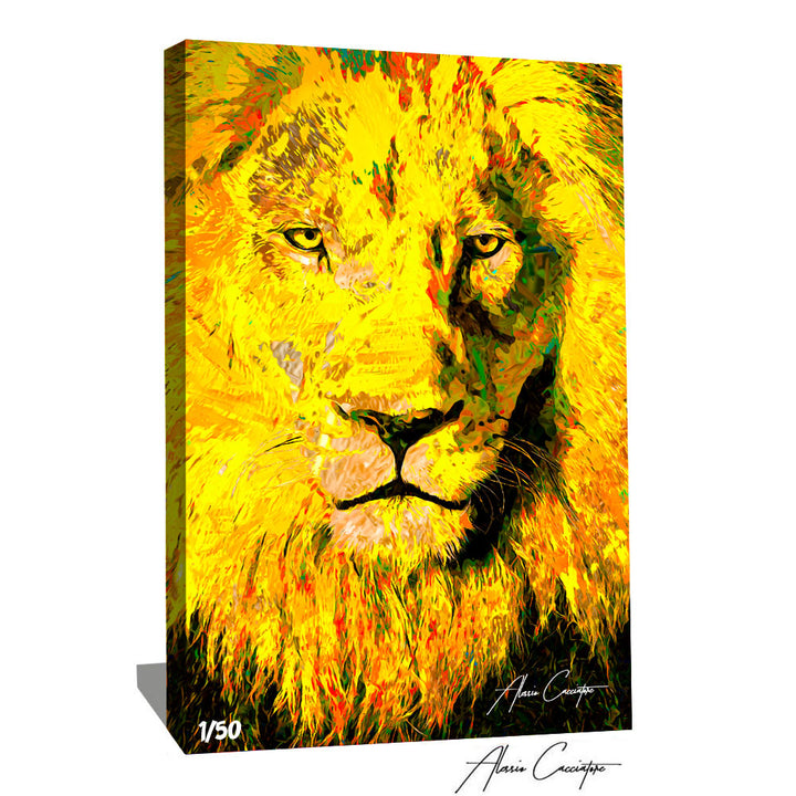 lion couleur