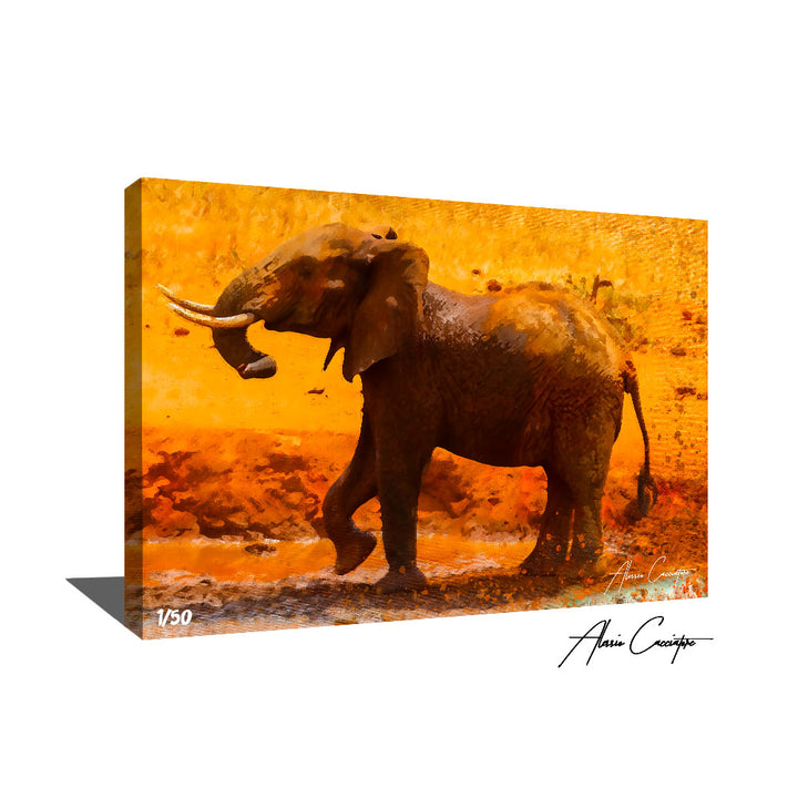 tableau elephant d'afrique