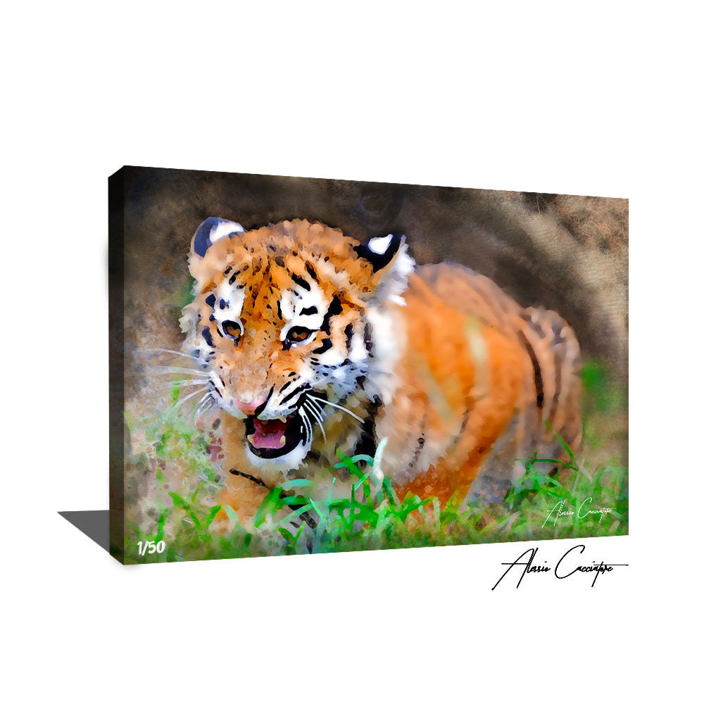 tableau bébé tigre