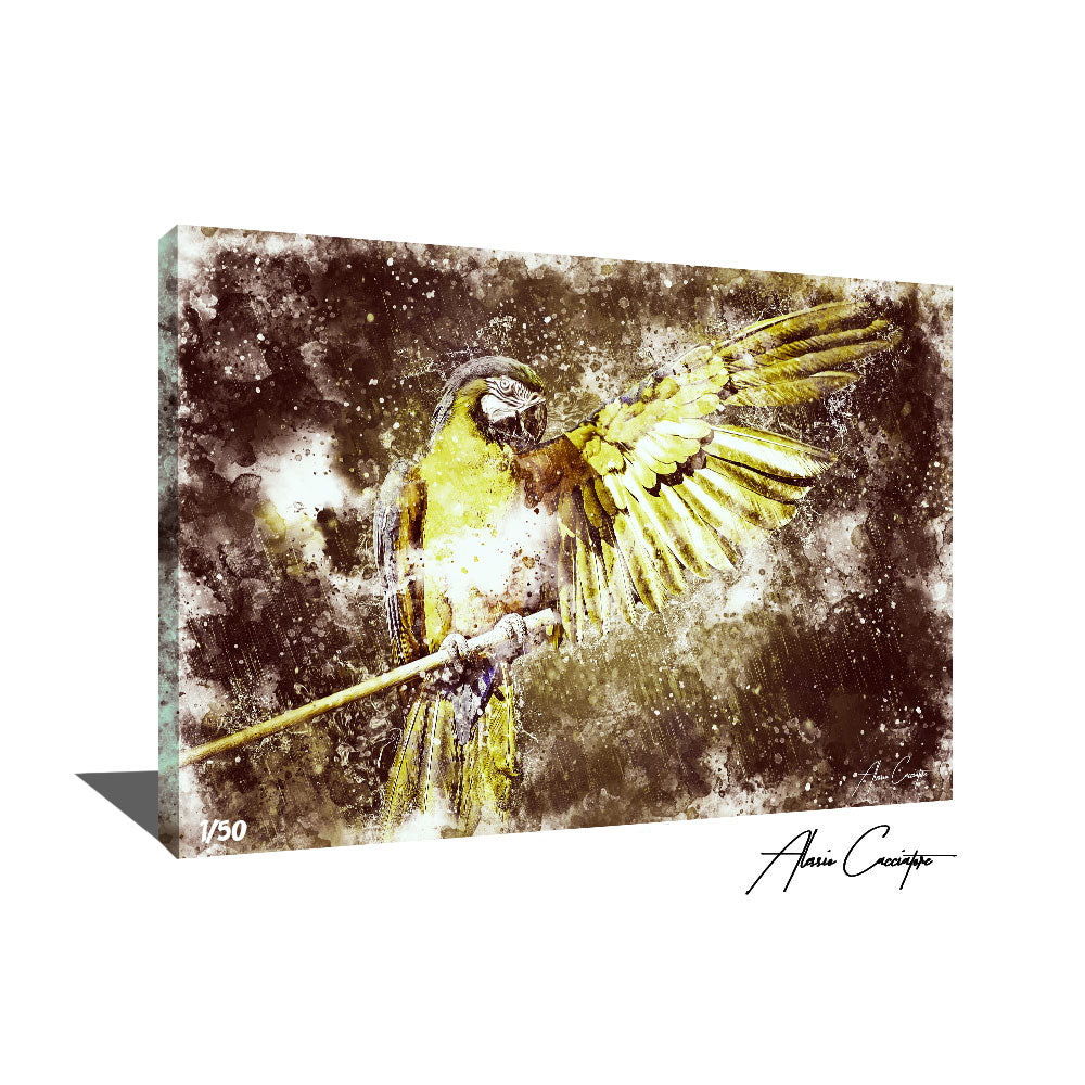 tableau perroquet couleur